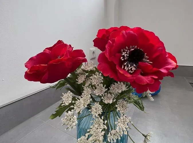 Am Spiel-emagazin Halberstadt